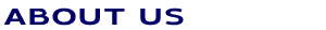 ABOUT US